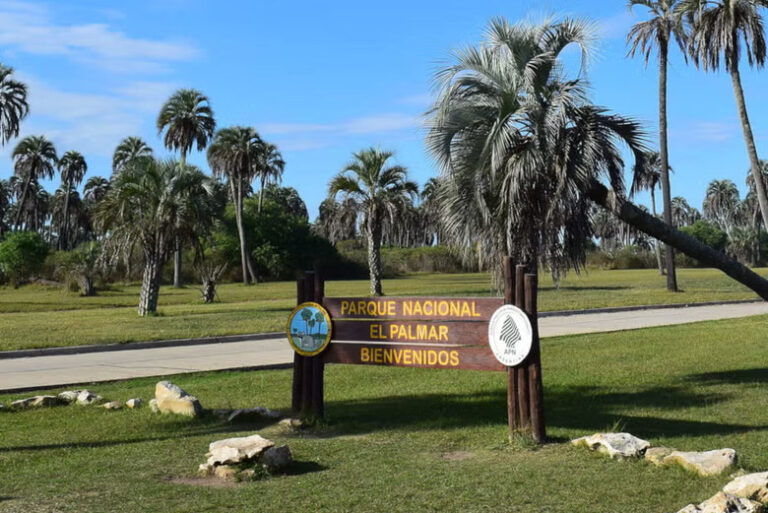 El Palmar National Park Admission Ticket
